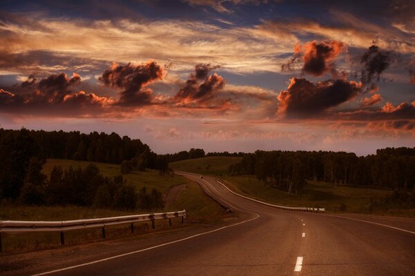 Summer evening and the road to the forest