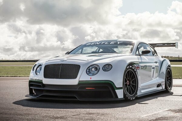 Bentley en el campo de entrenamiento