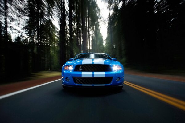 Blue car on a forest road