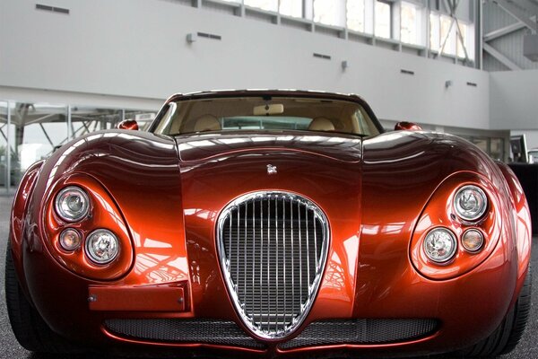 Exquisite design of the headlights and grille of the Jaguar