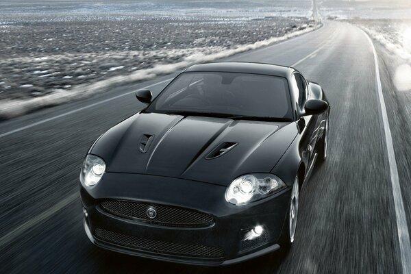Jaguar jedzie po drodze z dużą prędkością