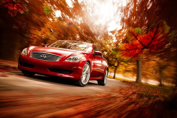 Roter Infiniti in Bewegung durch den Herbstwald