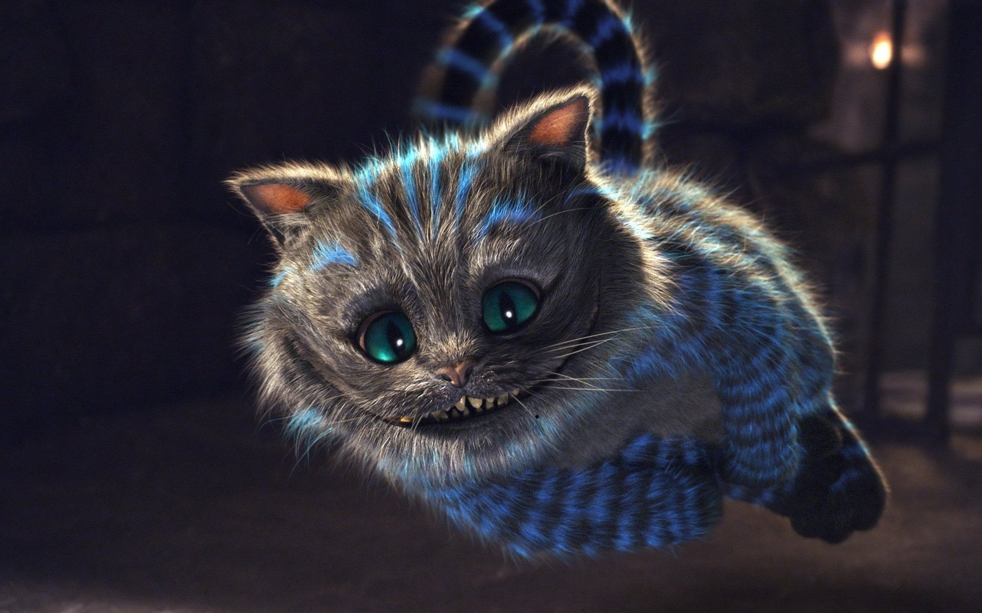 oars cat alice in wonderland flies smile eyes movie