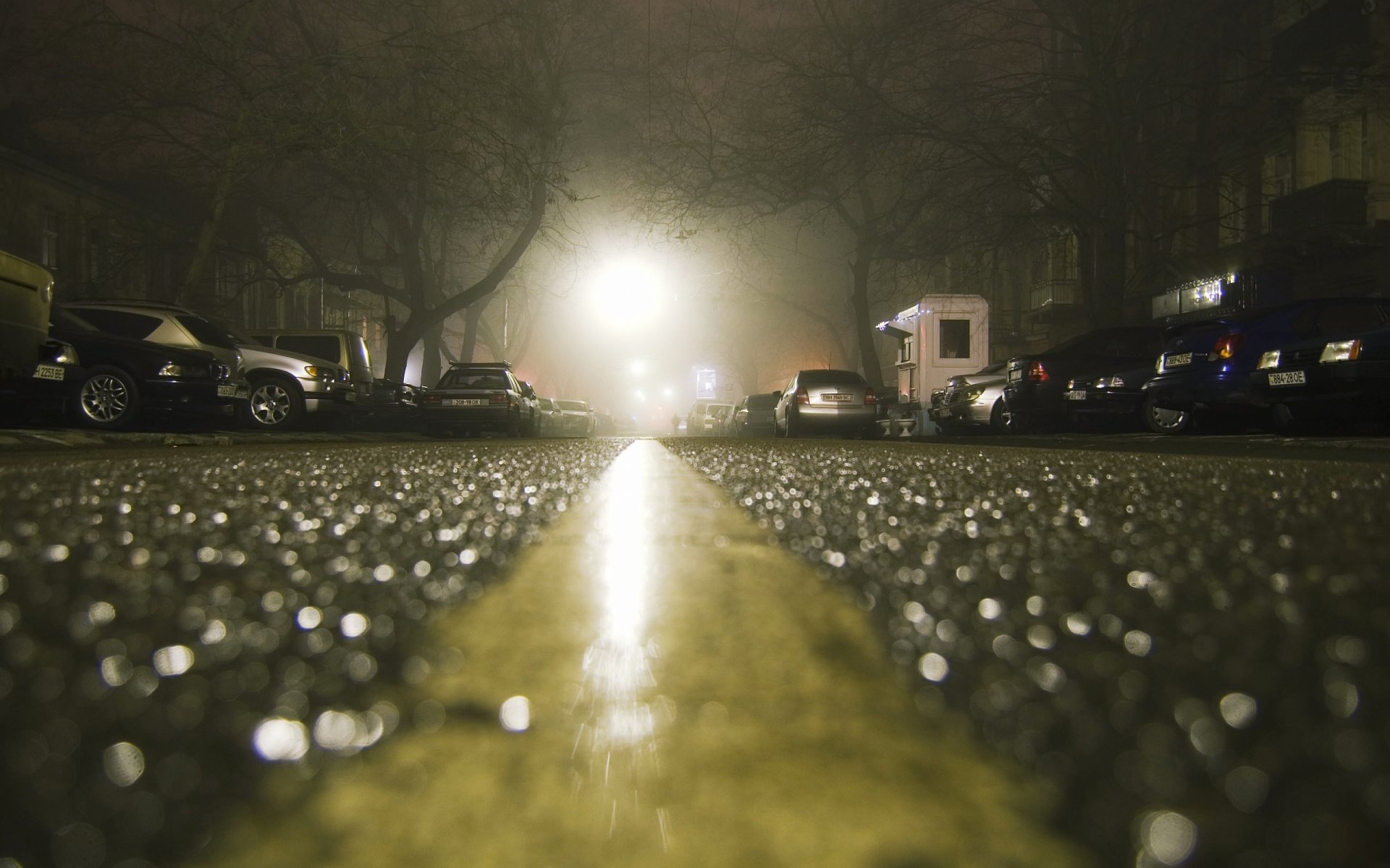 asphalt nach regen nacht autos häuser makro