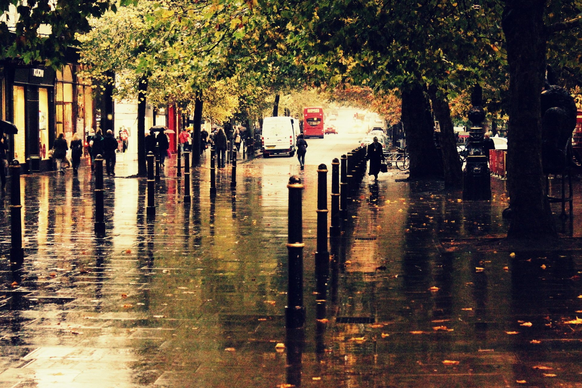 herbst straße stadt regen