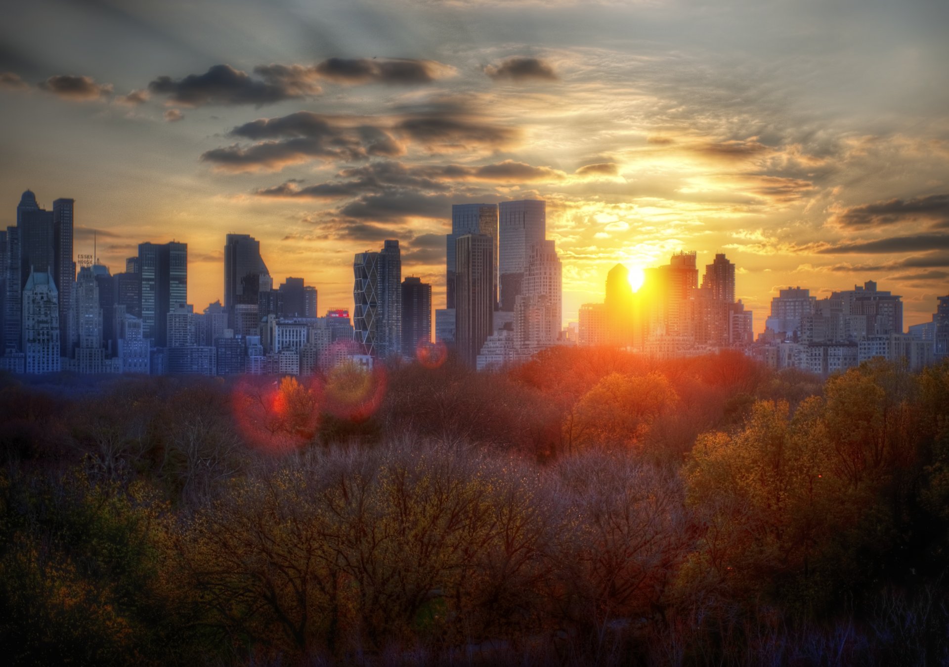 new york automne coucher de soleil arbres bâtiments nuages