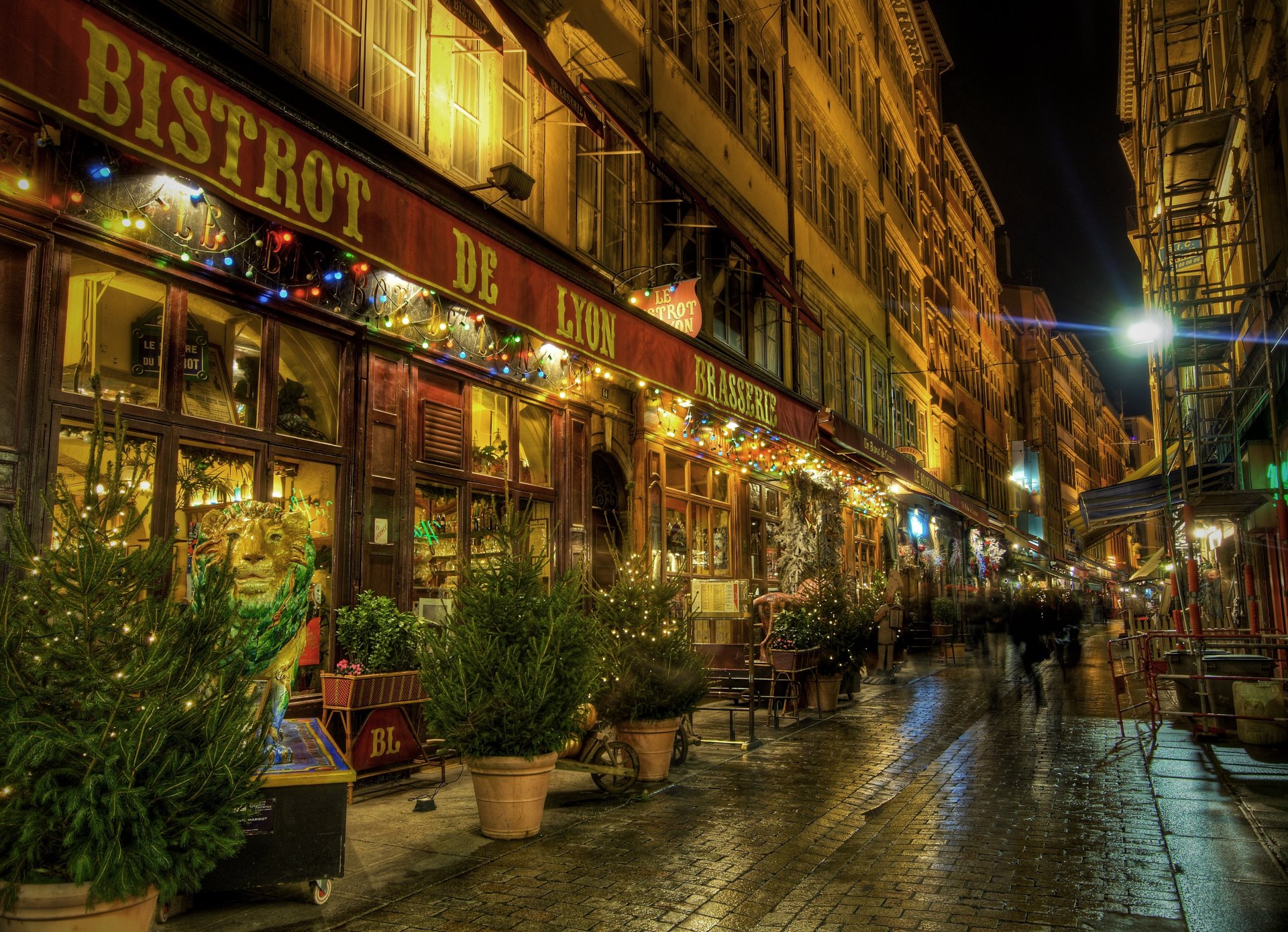 lyon francia calle noche gente