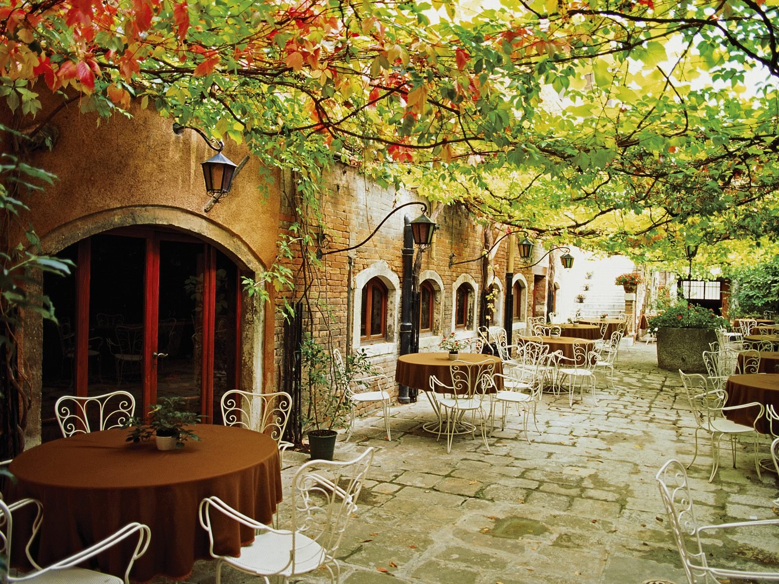 italie café feuilles