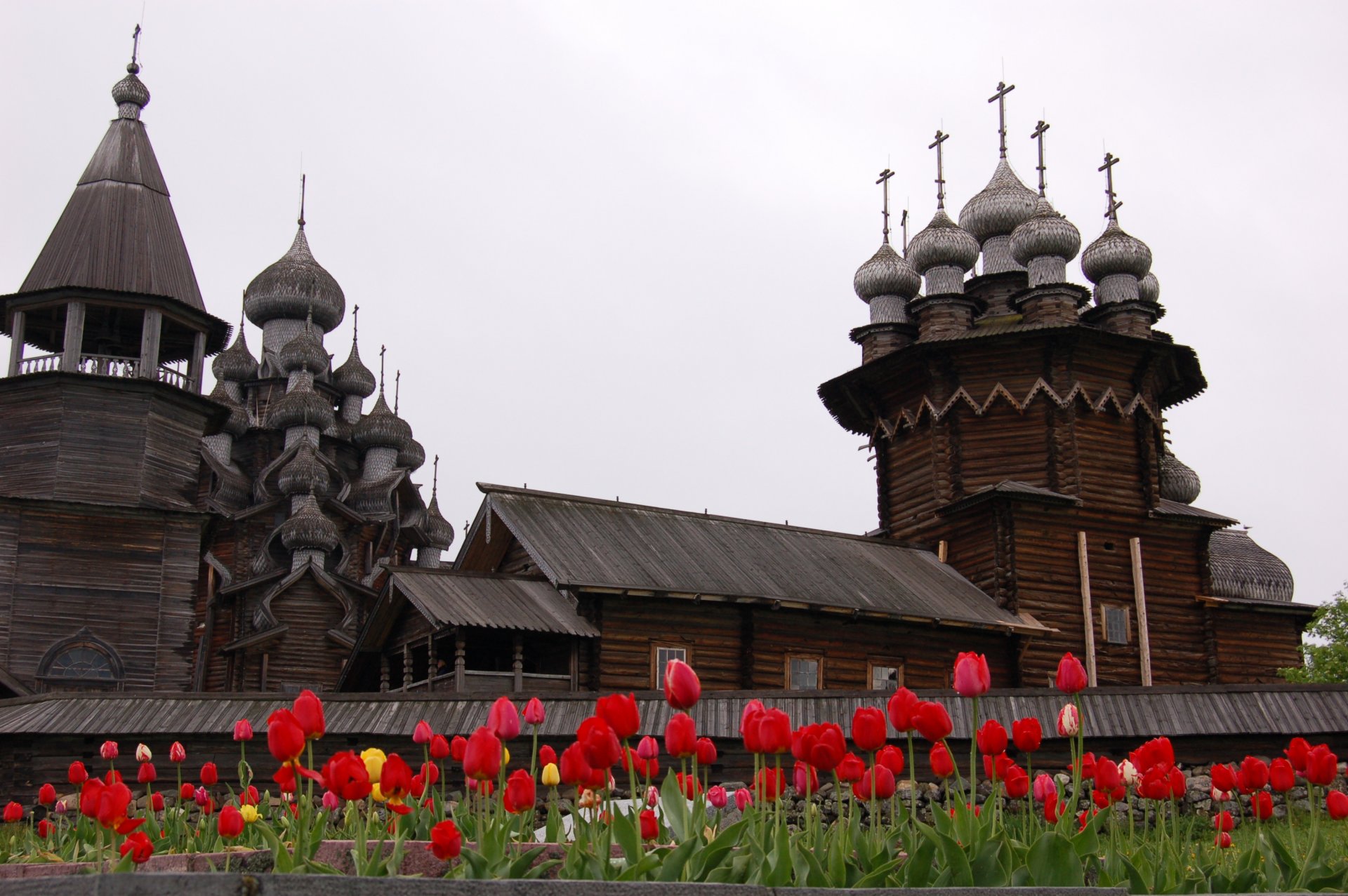 kizhi primer plano flores