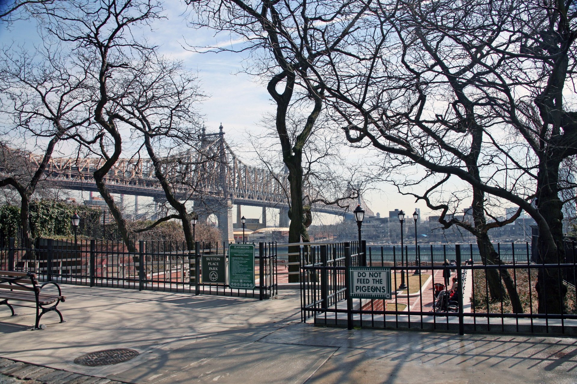 new york tree park bridge river