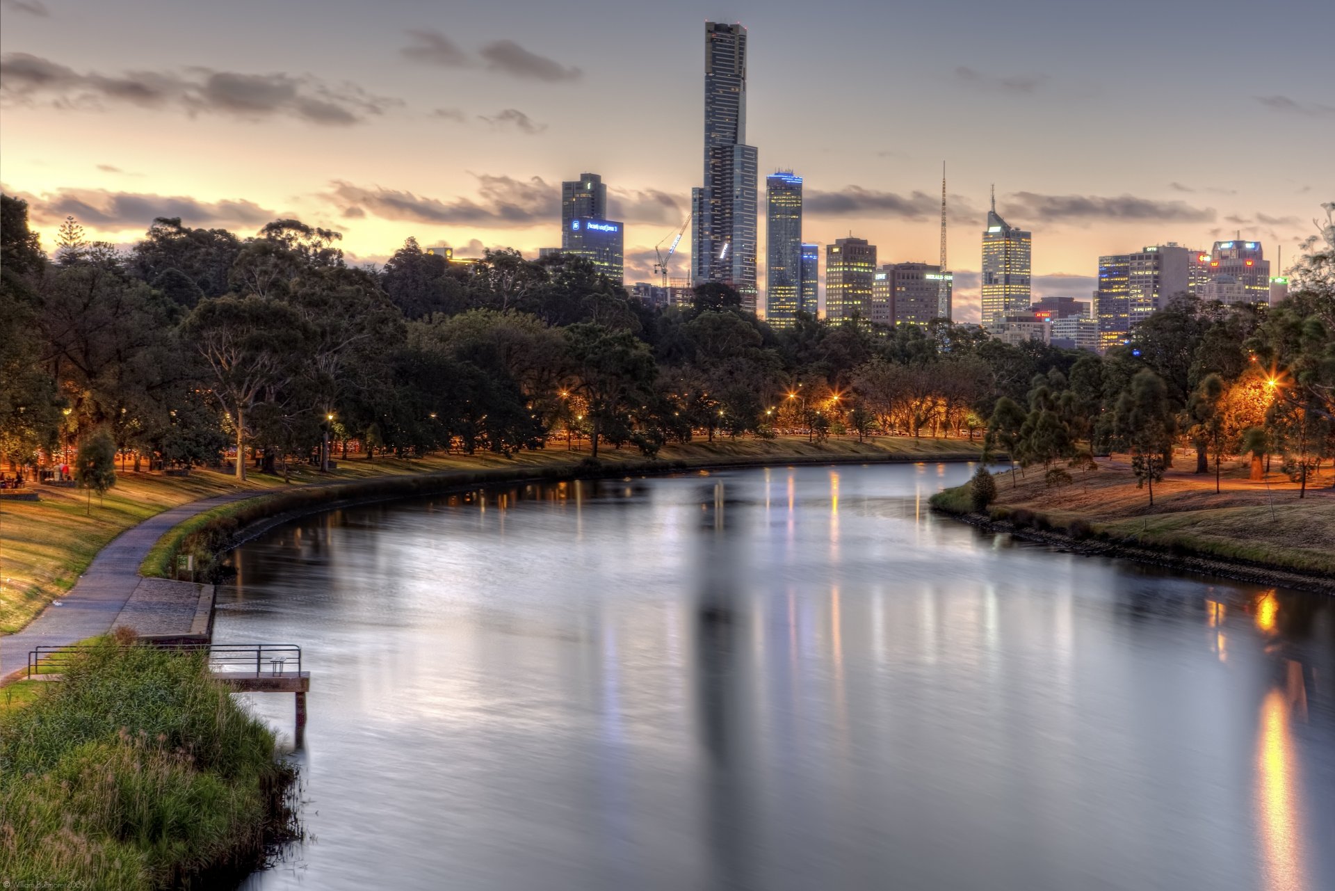 yarra river river night tree lamp