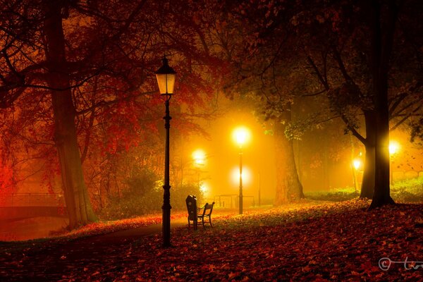 Noche de otoño en el parque con linternas