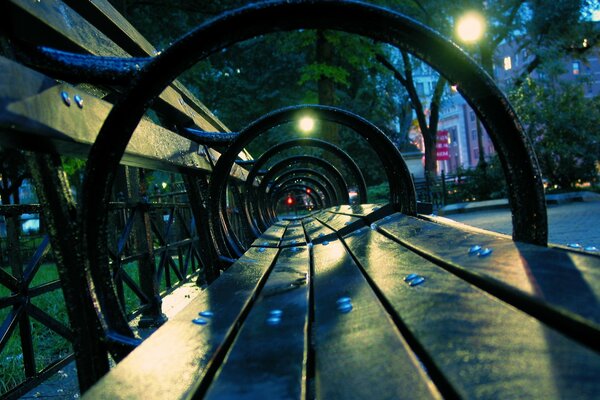 Night street lights bench after rain