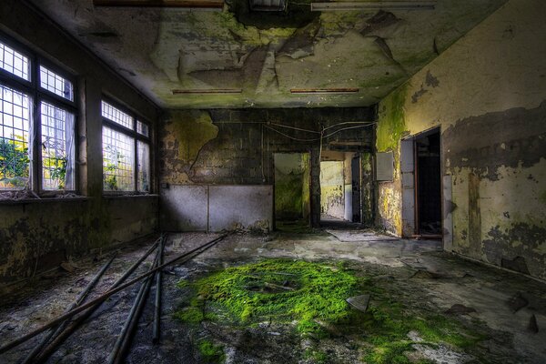 An abandoned old room covered with moss