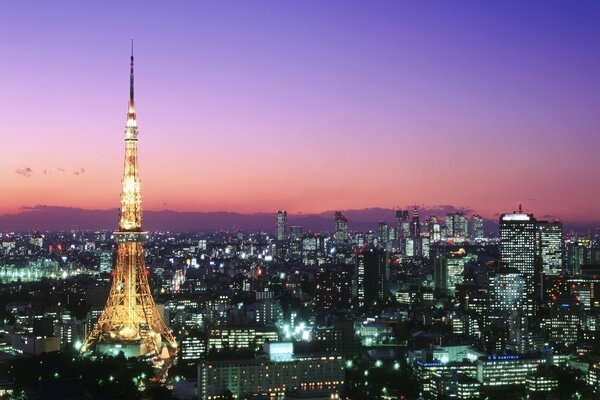 Tokyo è una bella città notturna