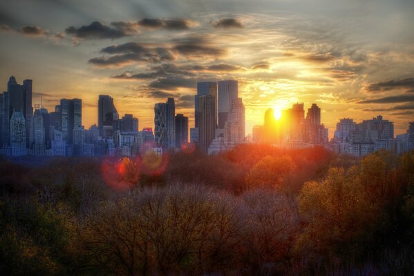 Autumn trees and buildings of New York during a cloudy sunset