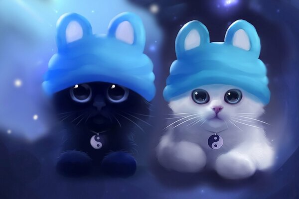 Gatitos peludos con sombreros azules