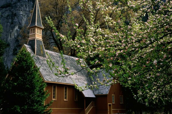 Maison en bois avec porche avec pommier en fleurs