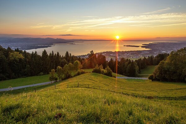 Paysage vert avec ciel et herbe