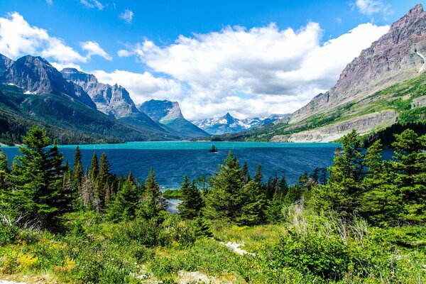 Bosque de coníferas y lago en las montañas