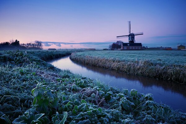 Eine ruhige Ecke der Natur in den Niederlanden