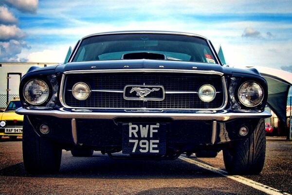 Mustang come un vero stallone. Bello