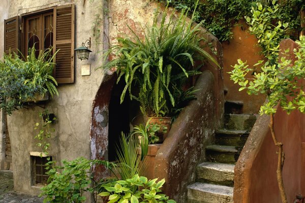 Cozy old Italian street in flowers