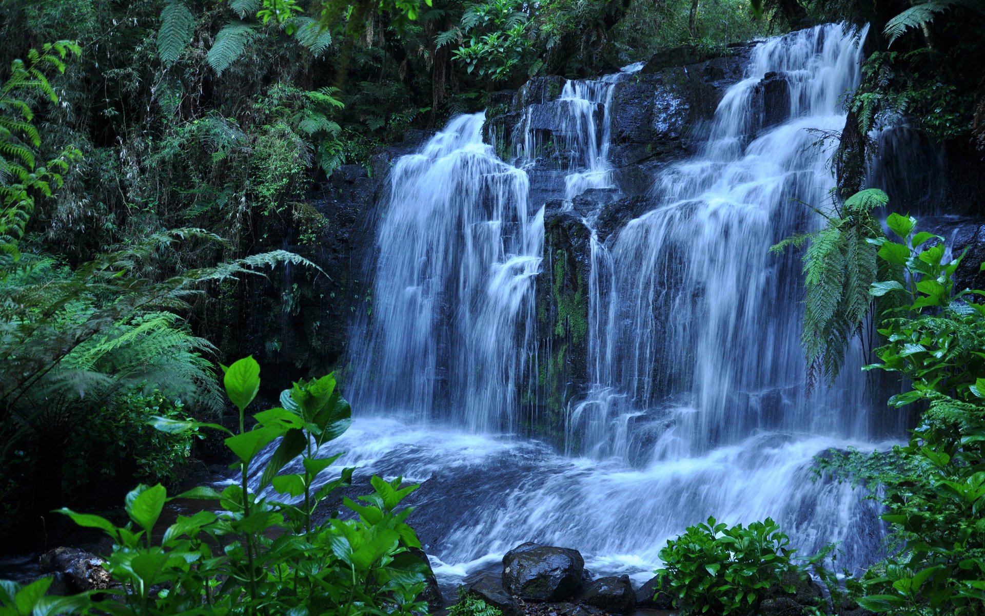 cascade pierres plantes eau