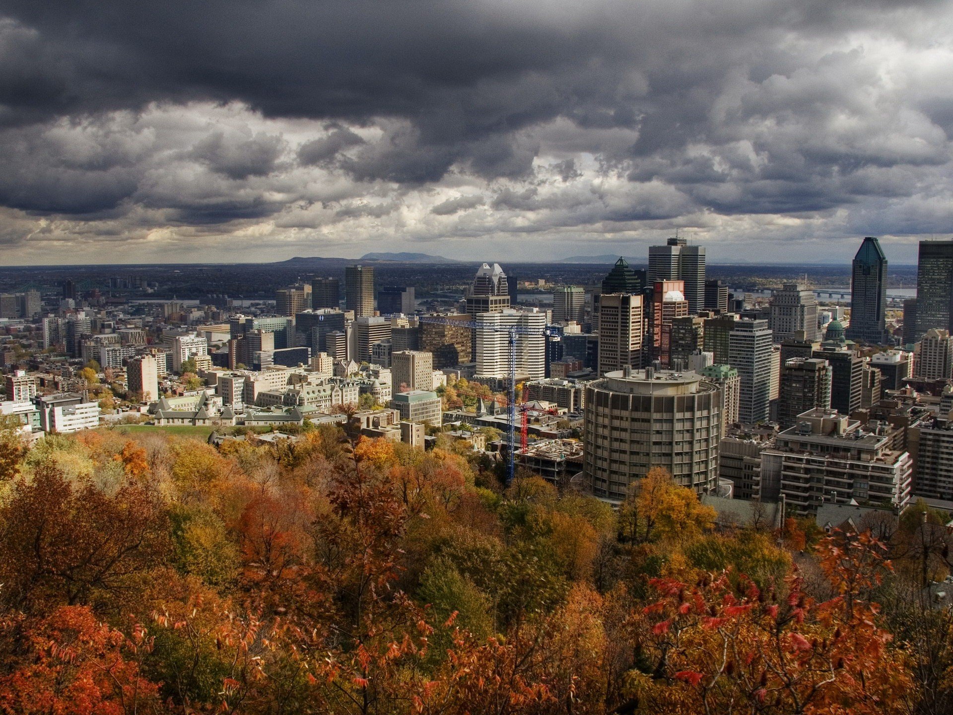 ciudad otoño árboles