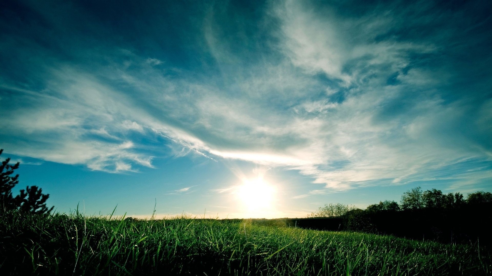 nature landscape grass field glade