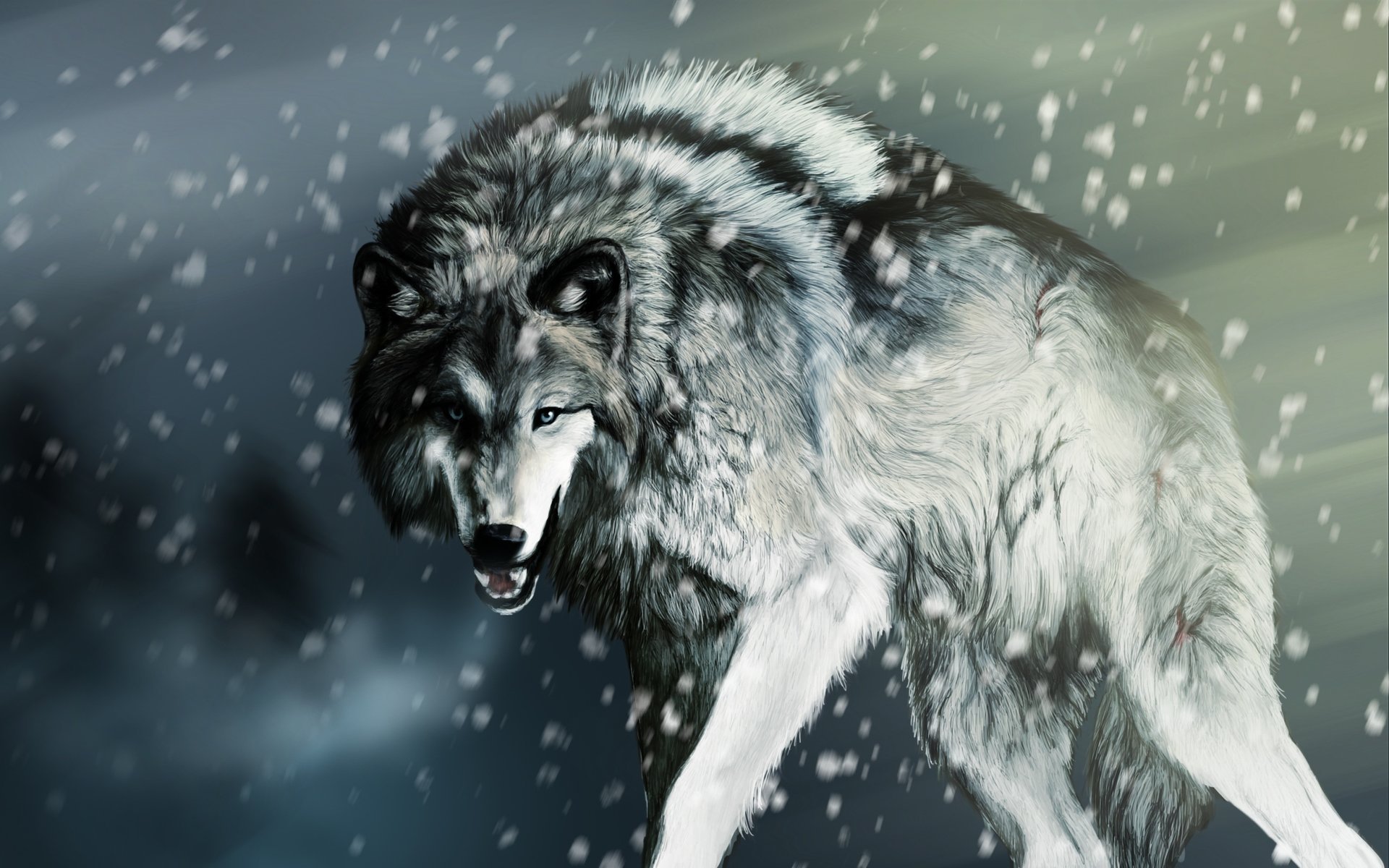 loup rendu neige