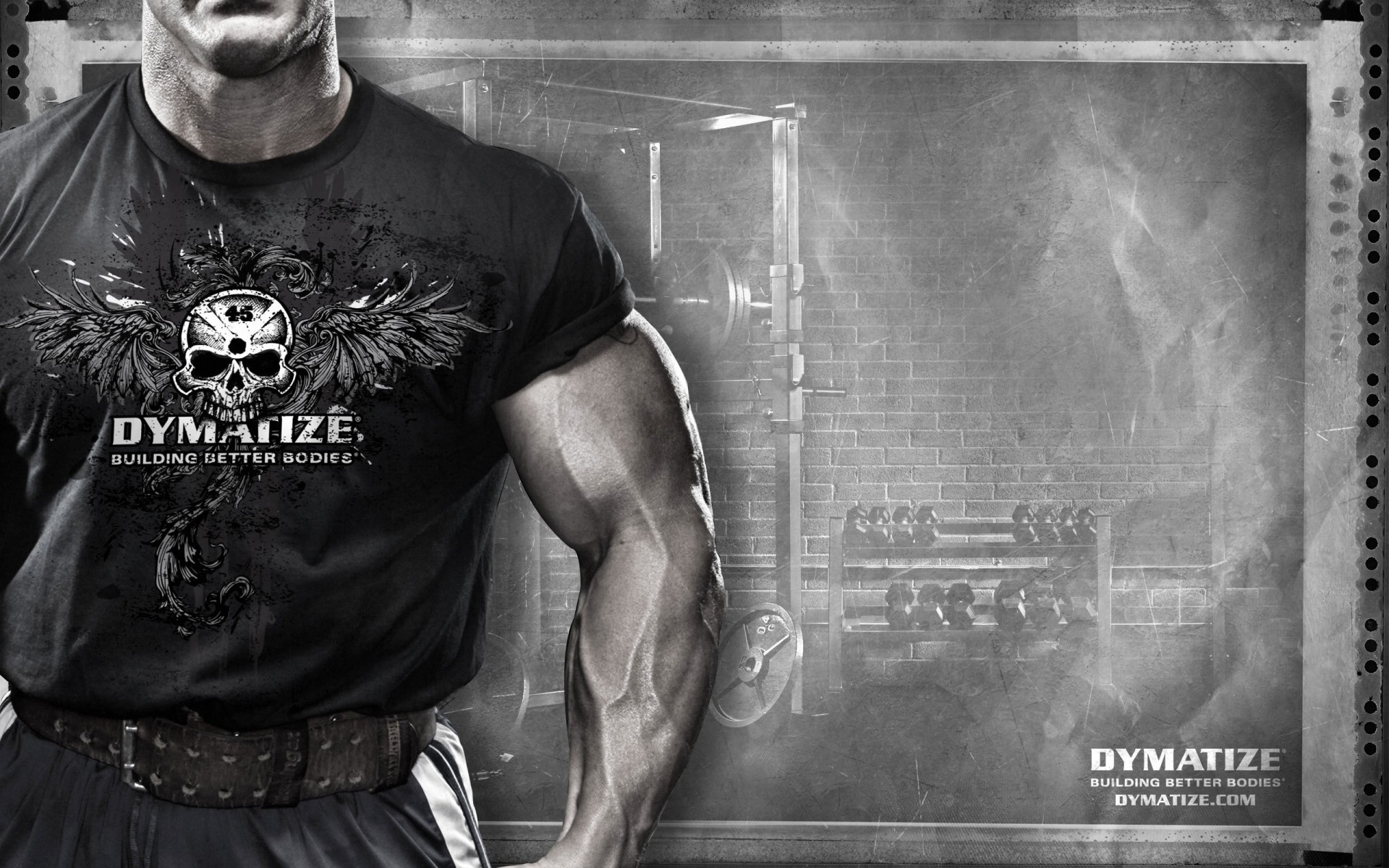 muscoli sportpit dymatize sport