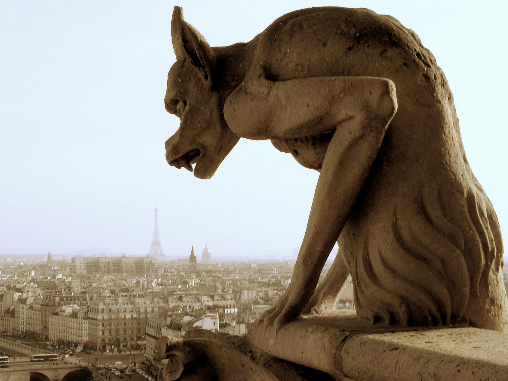 gargoyle parigi nebbia