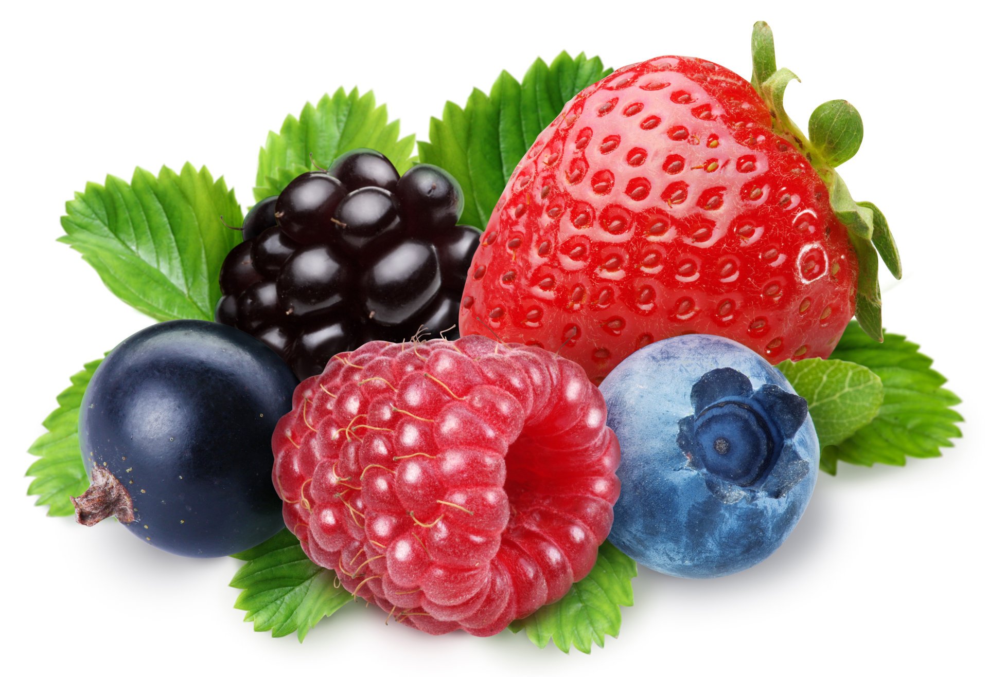 erdbeeren schwarze johannisbeeren brombeeren blaubeeren himbeeren