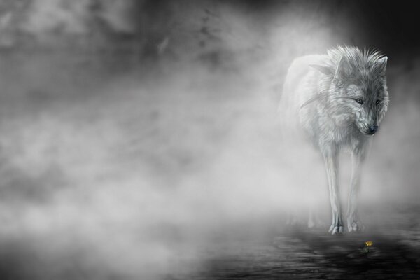 Волк спрятавшийсь в туман, поджидавший добычу