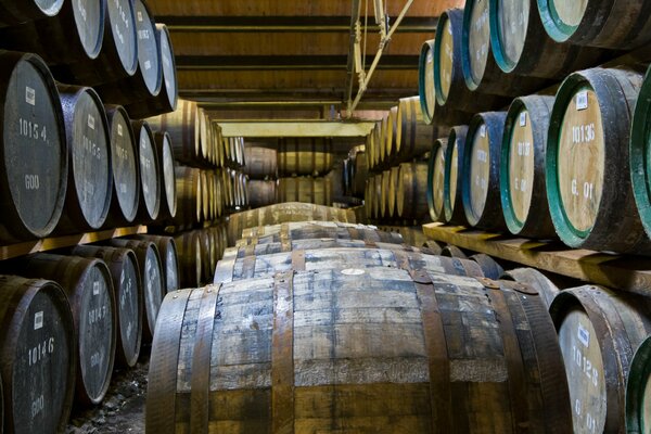 Wine barrels in the cellar on the shelves