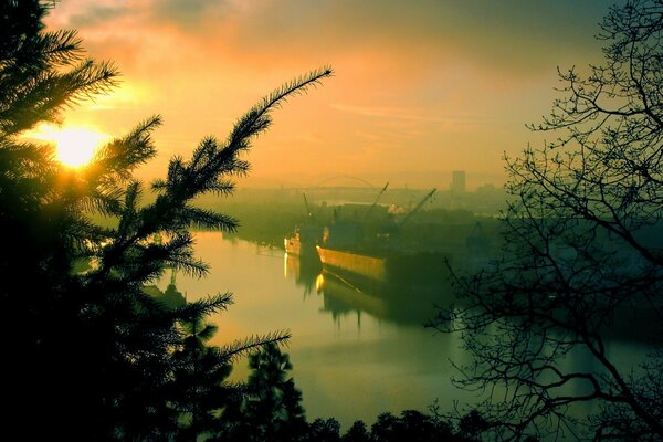 Con el amanecer, a través de los árboles, una magnífica vista del puerto