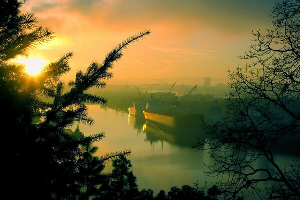 O świcie przez drzewa roztacza się wspaniały widok na port