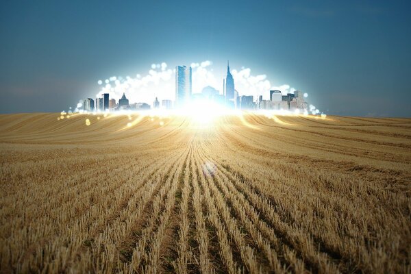 Campos de campo. Perspectiva urbana