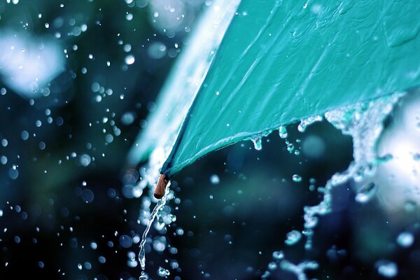 The edge of the umbrella, which drains rainwater