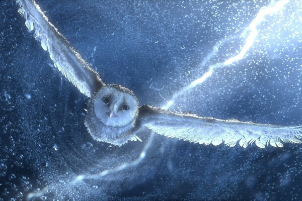 The flight of an owl in the night, illuminated by lightning