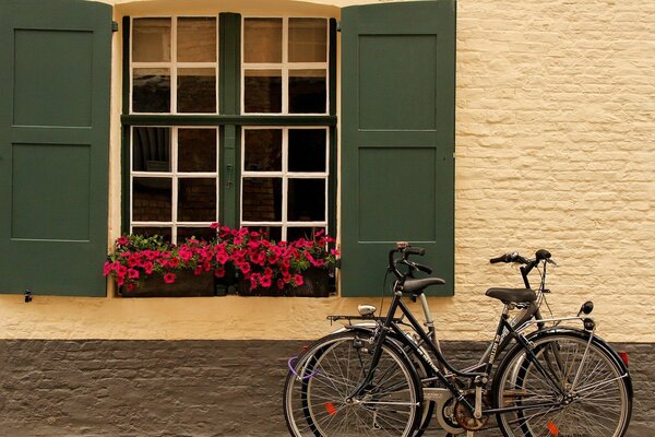 Bicycles on the water windows with flowers