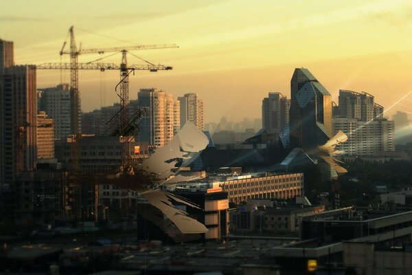 Matin sur la ville, hauts bâtiments, grues