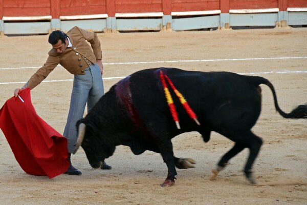 Espagne Festival Fiesta Matador et Taureau