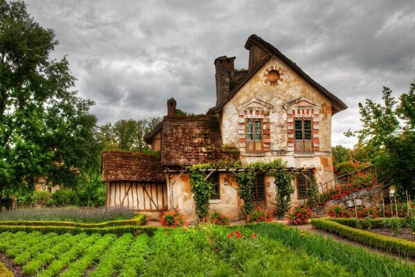 Linda casa en un Jardín verde