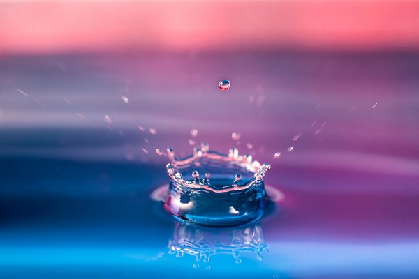 Ein Makro, das den Moment des Tropfens eines Tropfens in rosa-blauen Farbtönen gefangen hat