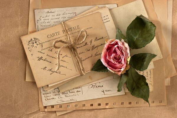 Lettres Vintage et fleur sèche