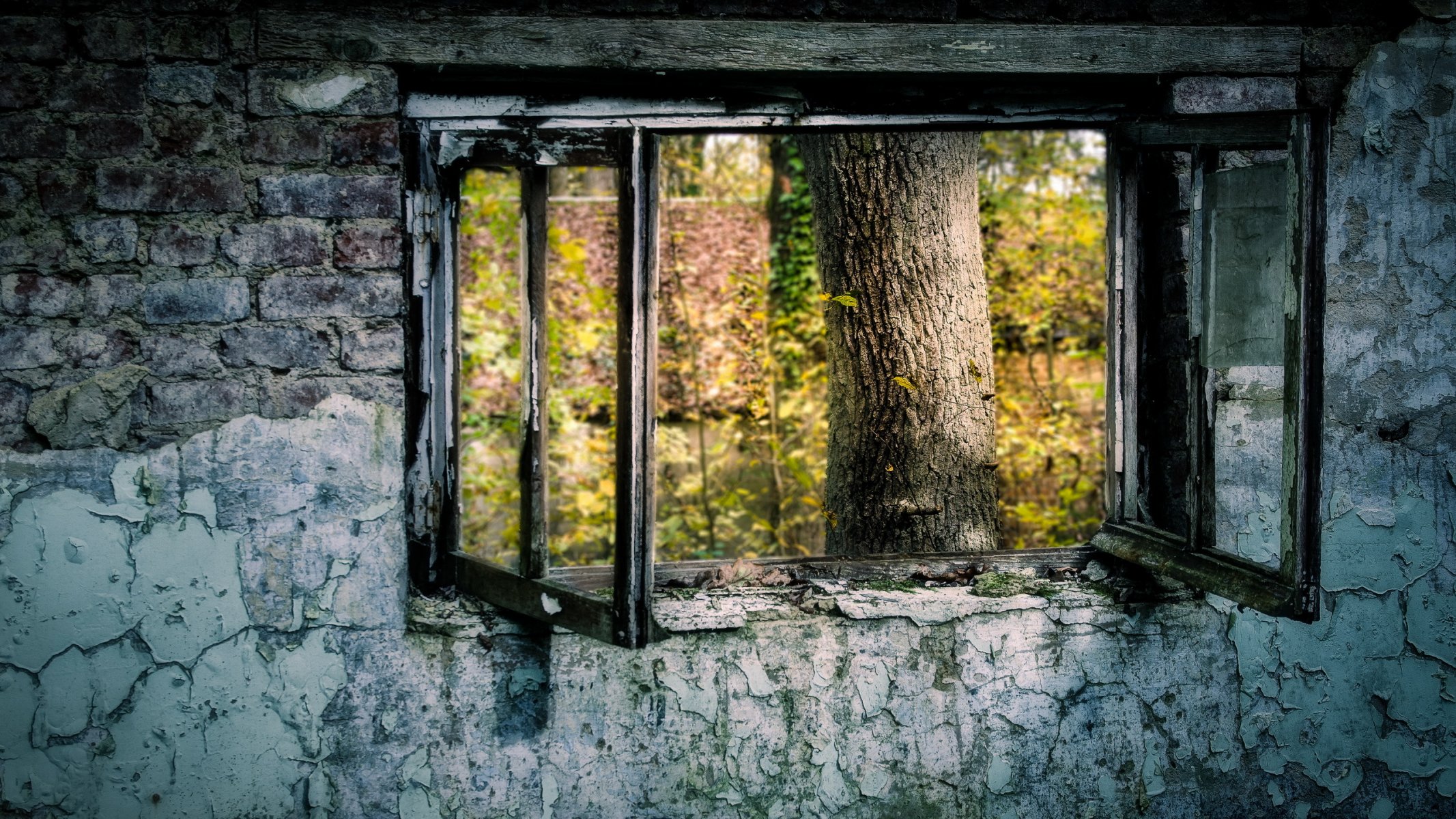 pared ventana vista