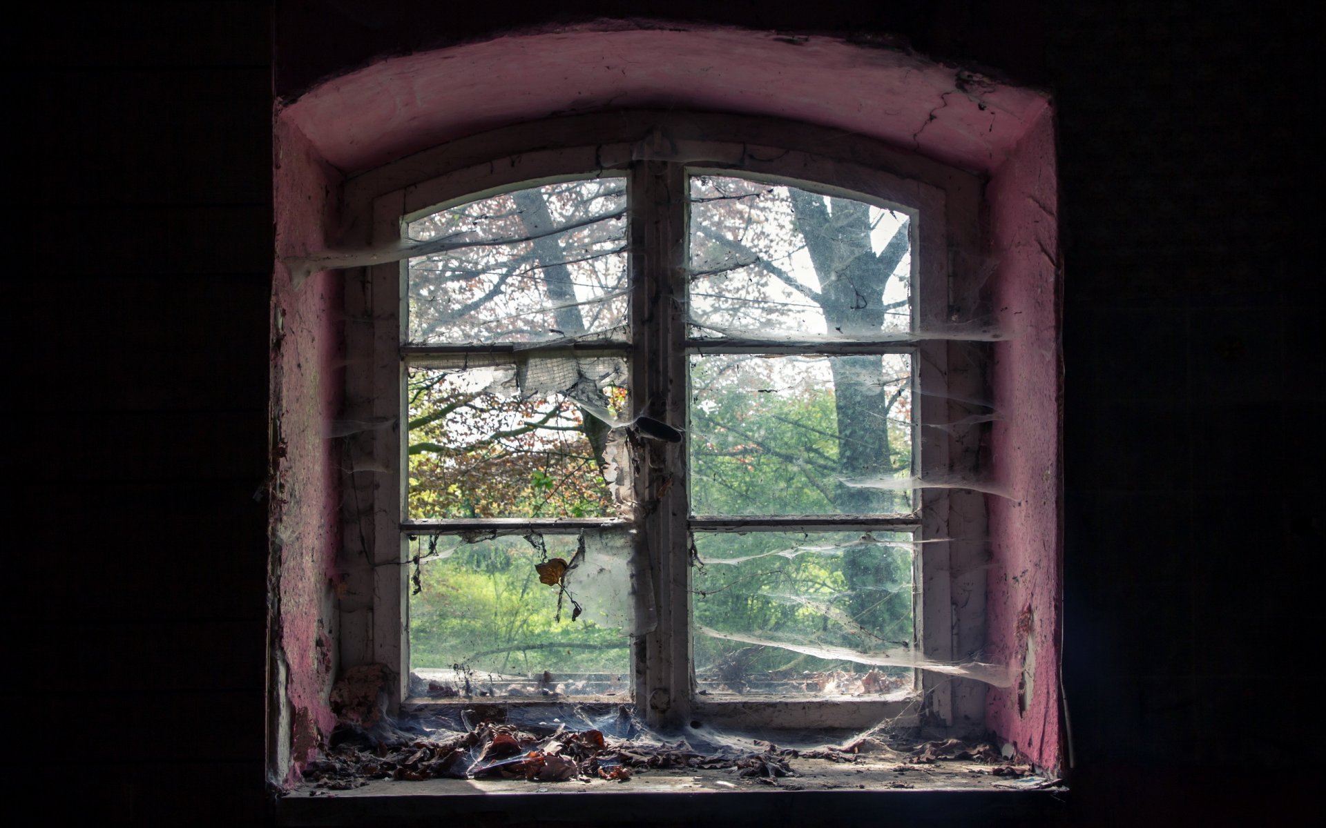 habitación ventana telaraña