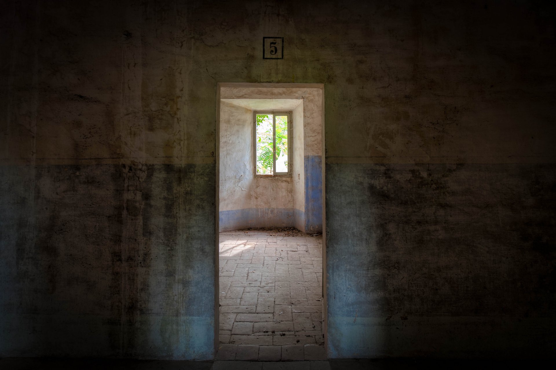 zimmer türen fenster